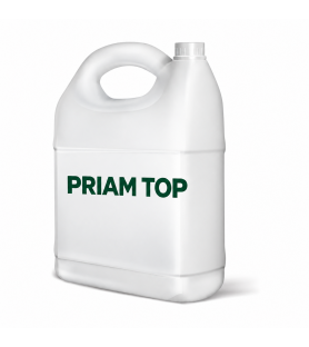 PRIAM TOP